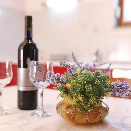 11896a 公寓 Božava